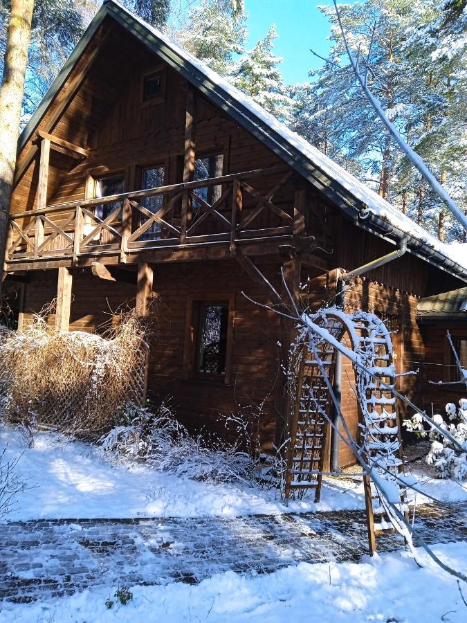 Villa Lesna Ostoja Nad Pilica Lechanice Exterior foto